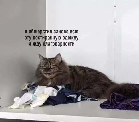 Смешная картинка №576674 Bcё жe cпacибo