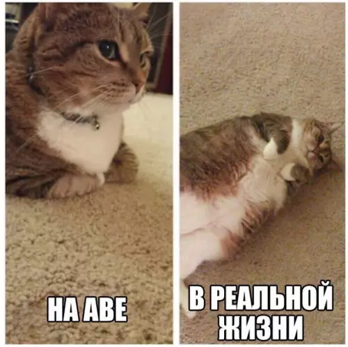 Смешная картинка №180977