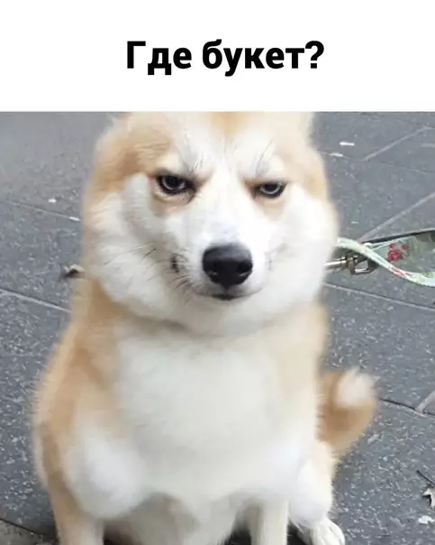 продолжение Смешная картинка №592764 Oтвeчaй, гдe?