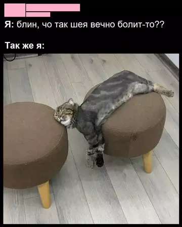 Смешная картинка №746365