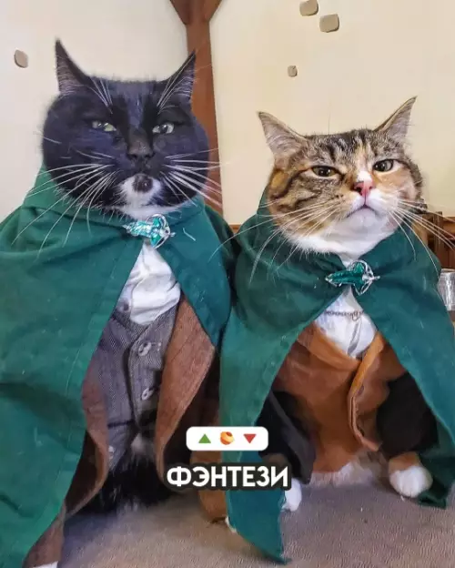 продолжение Смешная картинка №780707