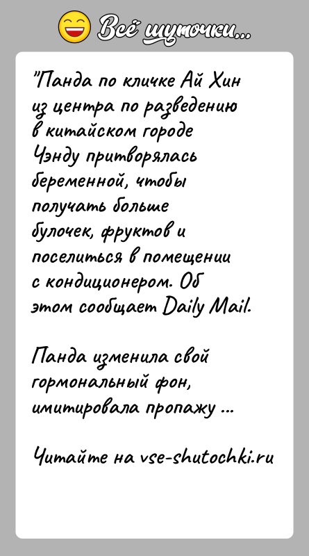 История: Панда по кличке Ай Хин из центра по разведению в китайском городе Чэнду притворялась беременной, чтобы получать больше булочек, фруктов