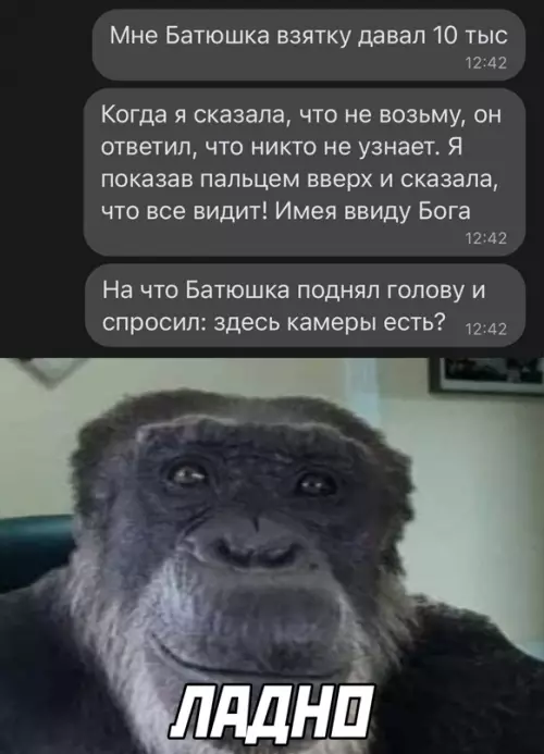 Смешная картинка №643937