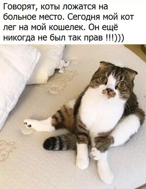 Смешная картинка №258981