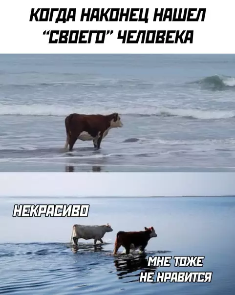 Смешная картинка №508722