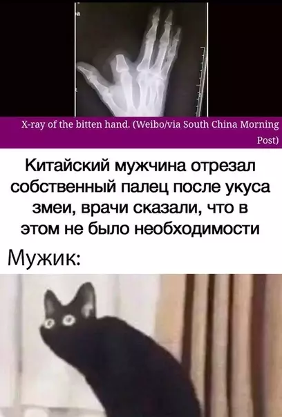 Смешная картинка №393339