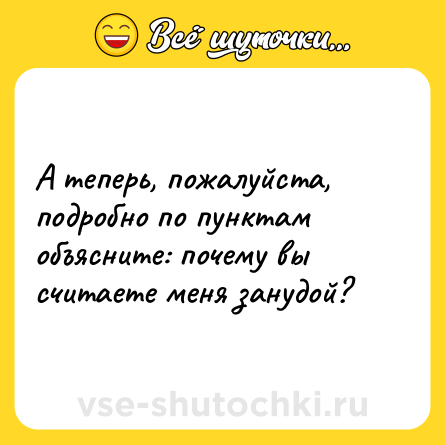 Шутка: А теперь, пожалуйста, подробно по пунктам объясните: почему вы считаете меня занудой?