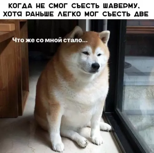 Смешная картинка №342524