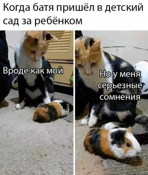 Смешная картинка №495321