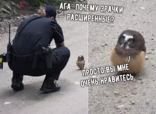 Смешная картинка №238626