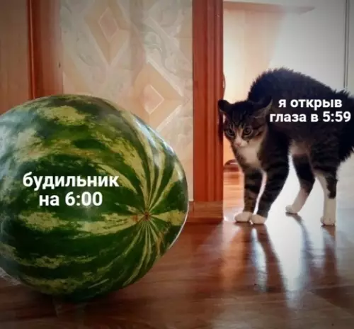 Смешная картинка №752493