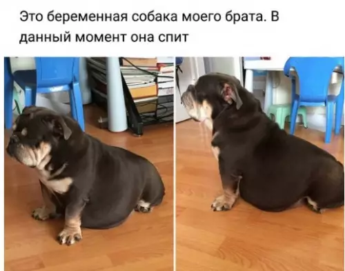 Смешная картинка №298257