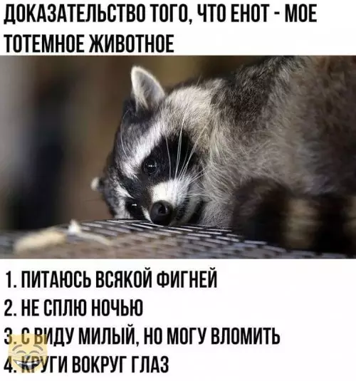 Смешная картинка №365905 #приколы #картинки #мемы ?