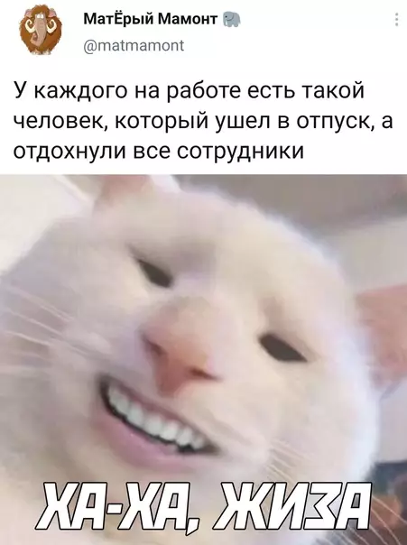 Смешная картинка №567906