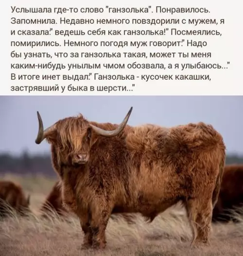 Смешная картинка №532549 В копилку смешных ругательств