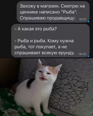 Смешная картинка №669733