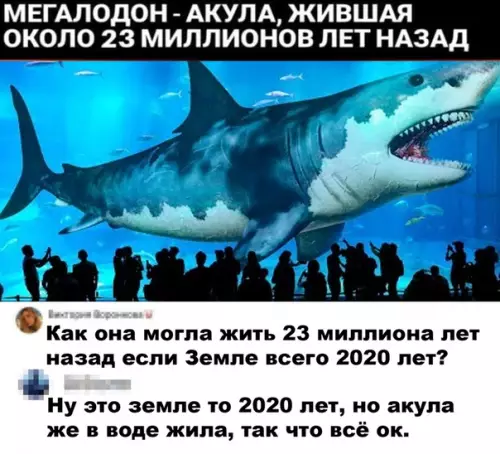Смешная картинка №499729 Логичная логика