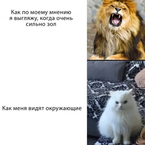 Смешная картинка №511862