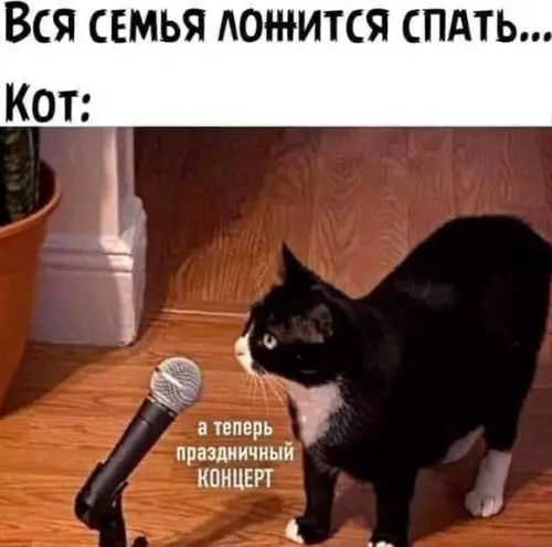 Смешная картинка №550686
