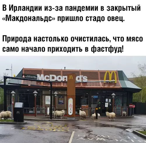 Смешная картинка №488749