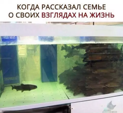 Смешная картинка №395190