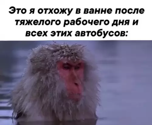 Смешная картинка №802760