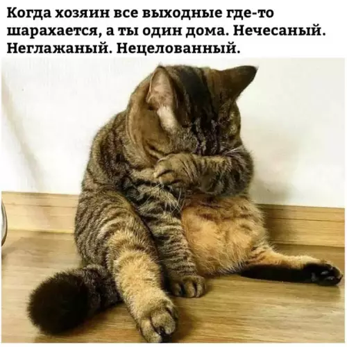 Смешная картинка №353546