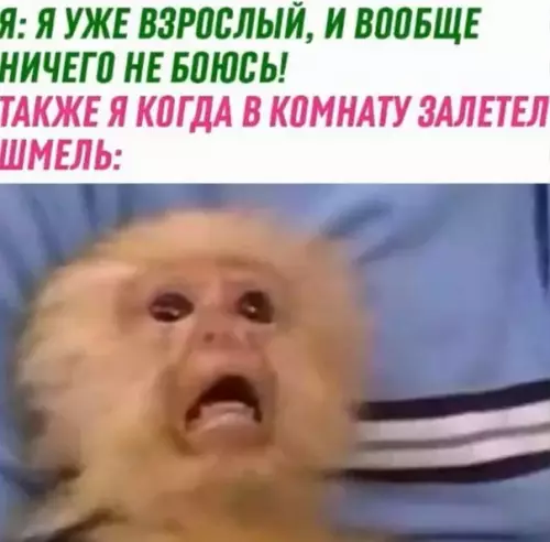 Смешная картинка №561310