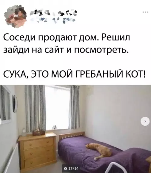 Смешная картинка №562941