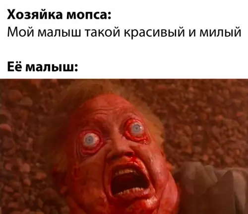 Смешная картинка №687706