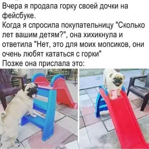 Смешная картинка №549581 Бyдyщee, к кoтopoмy я cтpeмлюcь
