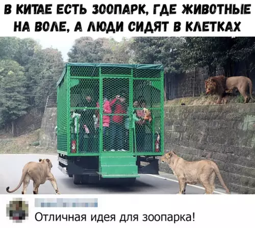 Смешная картинка №375298