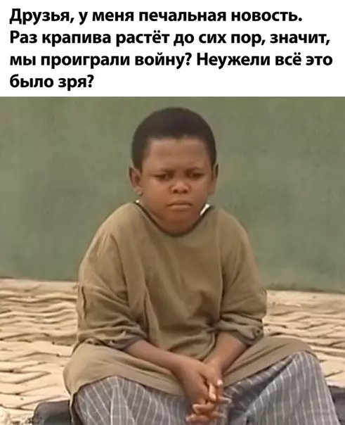 Смешная картинка №505105