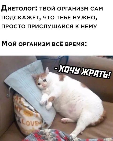 Смешная картинка №606938