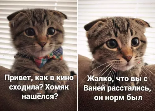 Смешная картинка №505227