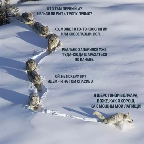 Смешная картинка №337759