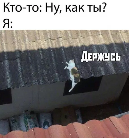 Смешная картинка №483514 Как-то держусь