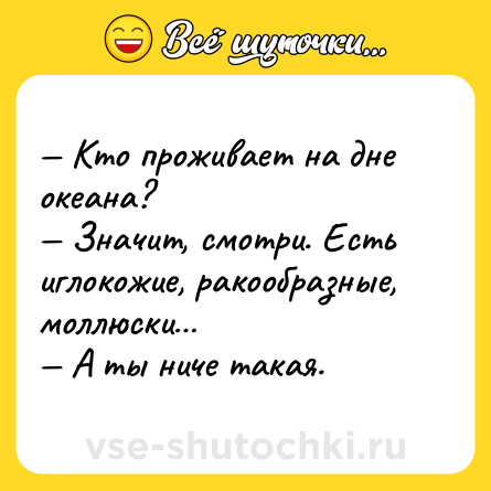 Шутка: — Кто проживает на дне океана?<br>— Значит, смотри. Есть иглокожие, ракообразные, моллюски…<br>— А ты ниче такая.