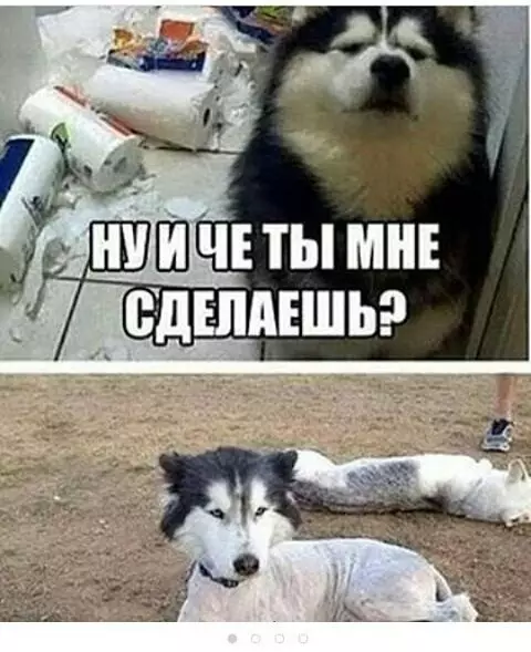 Смешная картинка №178726
