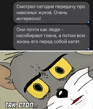 Смешная картинка №633534