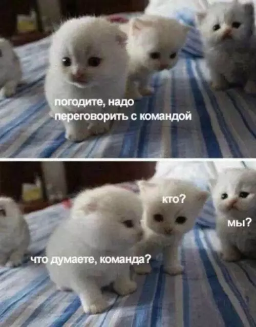 Смешная картинка №780574