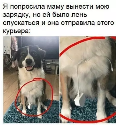 Смешная картинка №232295