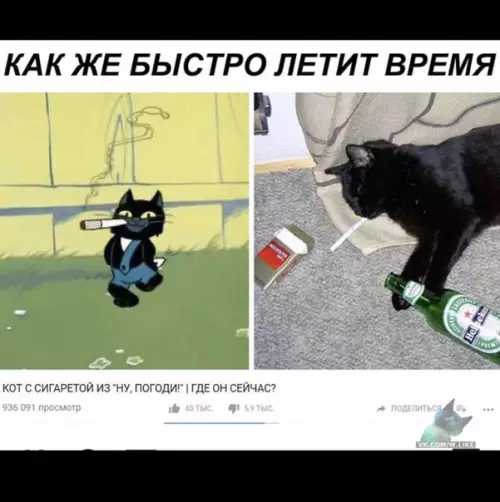 Смешная картинка №338999