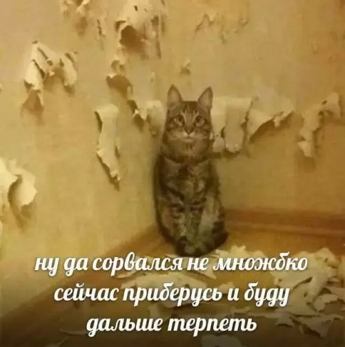 Смешная картинка №675243