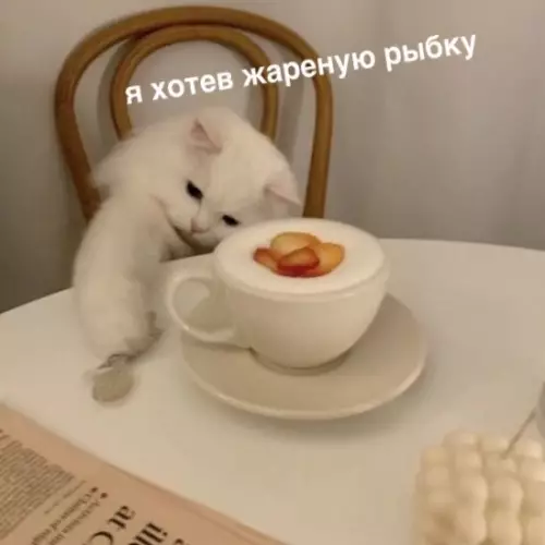 Смешная картинка №389904 "Сам это ешь, кулинар"
