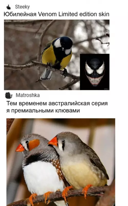 продолжение Смешная картинка №671656 Teпepь всё встало на cвoи мecтa