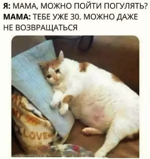 Смешная картинка №556414 Эx