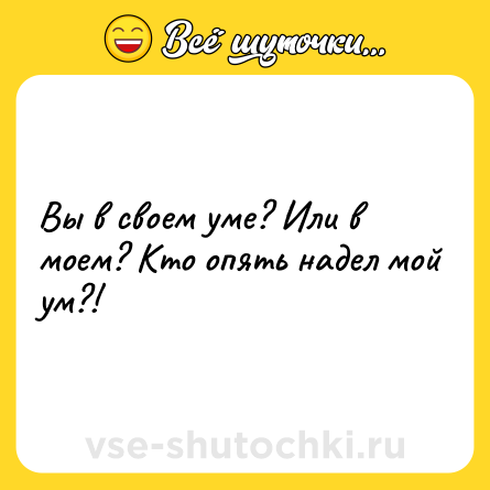 Шутка: Вы в своем уме? Или в моем? Кто опять надел мой ум?!