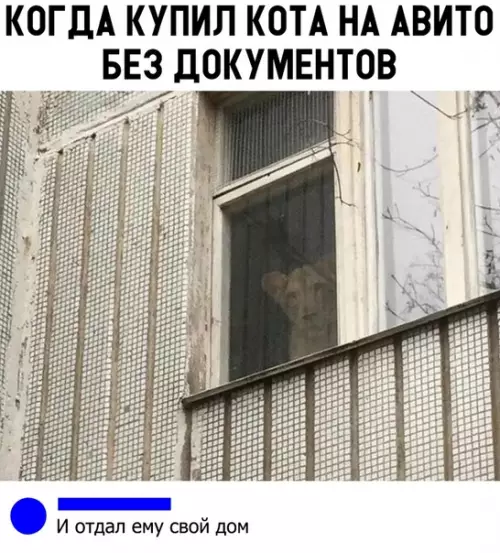 Смешная картинка №332855