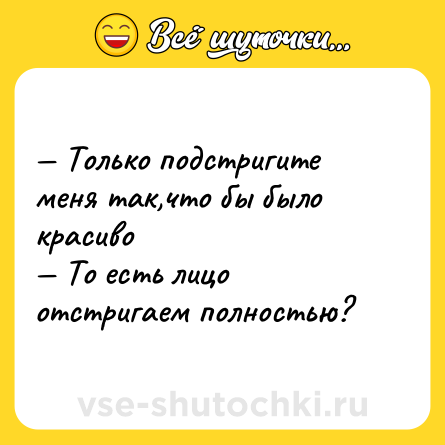 Шутка: — Только подстригите меня так,что бы было красиво<br>— То есть лицо отстригаем полностью?